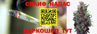 твердый Будённовск