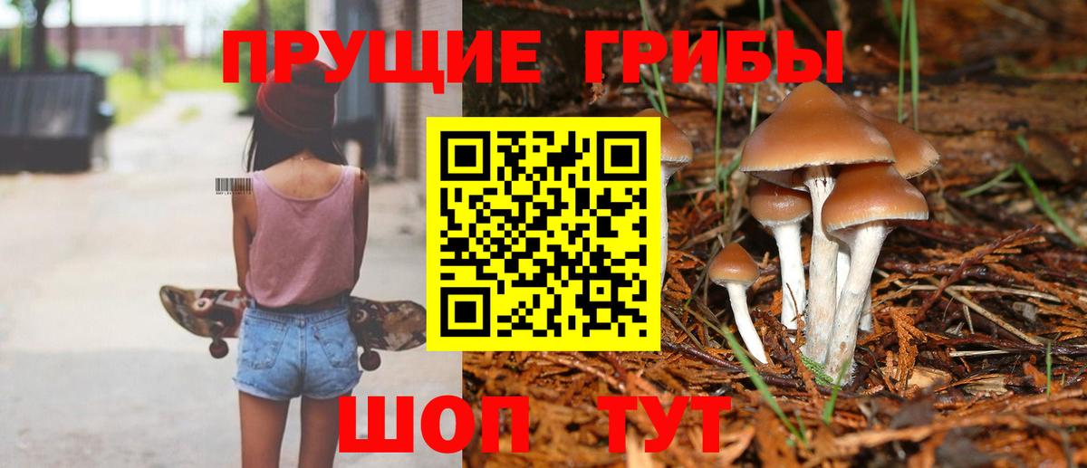 Галлюциногенные грибы Cubensis  Вход с VPN  Протвино 