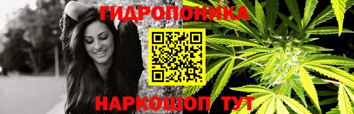 Каннабис White Widow  Бошки марихуана планчик  МАРИХУАНА сатива  Вход с VPN  Протвино 