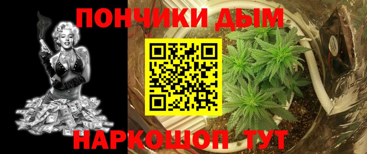 Канабис план Протвино